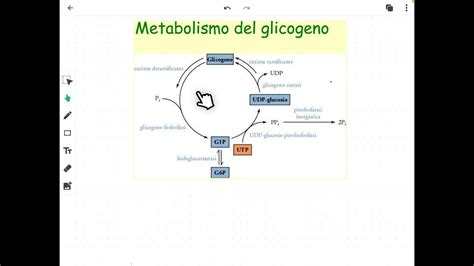 Esercizi di esaurimento metabolico e del glicogeno